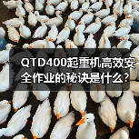 QTD400起重机高效安全作业的秘诀是什么?起重能力解析 QTD400起重机高效安全作业的秘诀是什么?起重能力解析