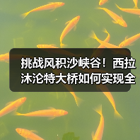 挑战风积沙峡谷!西拉沐沦特大桥如何实现全桥合龙? 挑战风积沙峡谷!西拉沐沦特大桥如何实现全桥合龙?