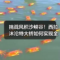 挑战风积沙峡谷!西拉沐沦特大桥如何实现全桥合龙? 挑战风积沙峡谷!西拉沐沦特大桥如何实现全桥合龙?