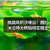 挑战风积沙峡谷!西拉沐沦特大桥如何实现全桥合龙? 挑战风积沙峡谷!西拉沐沦特大桥如何实现全桥合龙?