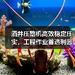 酒井压路机高效稳定压实,工程作业首选利器 酒井压路机高效稳定压实,工程作业首选利器