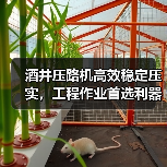 酒井压路机高效稳定压实,工程作业首选利器 酒井压路机高效稳定压实,工程作业首选利器