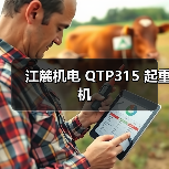 江麓机电 QTP315 起重机 江麓机电 QTP315 起重机
