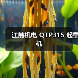 江麓机电 QTP315 起重机 江麓机电 QTP315 起重机