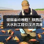 破解秦岭难题?陕西最大水利工程引汉济渭通水,如何改写区域命运? 破解秦岭难题?陕西最大水利工程引汉济渭通水,如何改写区域命运?