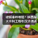 破解秦岭难题?陕西最大水利工程引汉济渭通水,如何改写区域命运? 破解秦岭难题?陕西最大水利工程引汉济渭通水,如何改写区域命运?