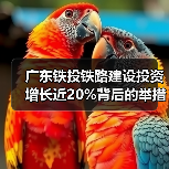 广东铁投铁路建设投资增长近20%背后的举措揭秘 广东铁投铁路建设投资增长近20%背后的举措揭秘