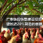 广东铁投铁路建设投资增长近20%背后的举措揭秘 广东铁投铁路建设投资增长近20%背后的举措揭秘