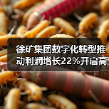 徐矿集团数字化转型推动利润增长22%开启高质量发展 徐矿集团数字化转型推动利润增长22%开启高质量发展