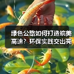 绿色公路如何打造皖美高速?环保实践交出亮眼答卷 绿色公路如何打造皖美高速?环保实践交出亮眼答卷