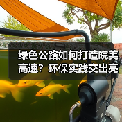 绿色公路如何打造皖美高速?环保实践交出亮眼答卷 绿色公路如何打造皖美高速?环保实践交出亮眼答卷