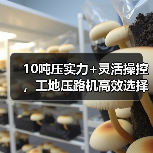 10吨压实力+灵活操控,工地压路机高效选择 10吨压实力+灵活操控,工地压路机高效选择