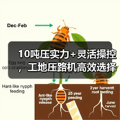 10吨压实力+灵活操控,工地压路机高效选择 10吨压实力+灵活操控,工地压路机高效选择