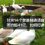 甘肃56个装备制造项目签约超41亿,如何打造先进产业集群? 甘肃56个装备制造项目签约超41亿,如何打造先进产业集群?