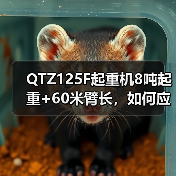 QTZ125F起重机8吨起重+60米臂长，如何应对工地多样化需求？