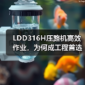 LDD316H压路机高效作业，为何成工程首选？