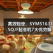 高效稳定，SYM5163JSQJF起重机7大优势解析