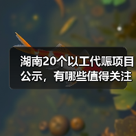 湖南20个以工代赈项目公示,有哪些值得关注? 湖南20个以工代赈项目公示,有哪些值得关注?