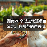 湖南20个以工代赈项目公示,有哪些值得关注? 湖南20个以工代赈项目公示,有哪些值得关注?