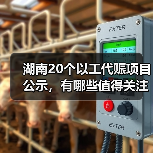 湖南20个以工代赈项目公示,有哪些值得关注? 湖南20个以工代赈项目公示,有哪些值得关注?