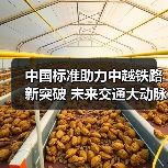 中国标准助力中越铁路新突破 未来交通大动脉即将启动