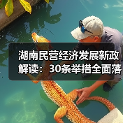 湖南民营经济发展新政解读：30条举措全面落地