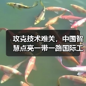 攻克技术难关，中国智慧点亮一带一路国际工程