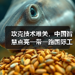 攻克技术难关，中国智慧点亮一带一路国际工程