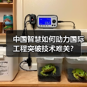 中国智慧如何助力国际工程突破技术难关？