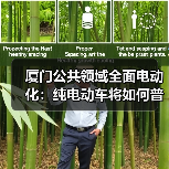 厦门公共领域全面电动化：纯电动车将如何普及？