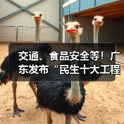 交通、食品安全等!广东发布“民生十大工程”五年行动计划 交通、食品安全等!广东发布“民生十大工程”五年行动计划