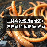 支持高能级项目建设!河南郑州市加强制造业高质量发展 支持高能级项目建设!河南郑州市加强制造业高质量发展