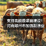 支持高能级项目建设!河南郑州市加强制造业高质量发展 支持高能级项目建设!河南郑州市加强制造业高质量发展