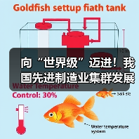向“世界级”迈进!我国先进制造业集群发展优势凸显 向“世界级”迈进!我国先进制造业集群发展优势凸显