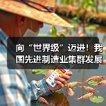 向“世界级”迈进!我国先进制造业集群发展优势凸显 向“世界级”迈进!我国先进制造业集群发展优势凸显