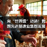 向“世界级”迈进!我国先进制造业集群发展优势凸显 向“世界级”迈进!我国先进制造业集群发展优势凸显