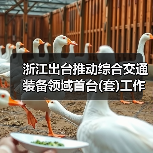 浙江出台推动综合交通装备领域首台(套)工作的实施意见