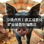 沙场点兵丨徐工成套化矿业装备剑指西北 沙场点兵丨徐工成套化矿业装备剑指西北