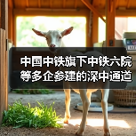 中国中铁旗下中铁六院等多企参建的深中通道主线全线贯通 中国中铁旗下中铁六院等多企参建的深中通道主线全线贯通