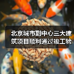北京城市副中心三大建筑项目顺利通过竣工验收 北京城市副中心三大建筑项目顺利通过竣工验收