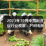 2023年10月中国制造业行业观察:PMI有所回落 2023年10月中国制造业行业观察:PMI有所回落