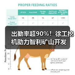 出勤率超90%!徐工挖机助力智利矿山开发 出勤率超90%!徐工挖机助力智利矿山开发