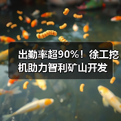 出勤率超90%!徐工挖机助力智利矿山开发 出勤率超90%!徐工挖机助力智利矿山开发
