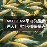 WTC2024早鸟价最后两天!深圳参会最高省千元 WTC2024早鸟价最后两天!深圳参会最高省千元