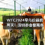WTC2024早鸟价最后两天!深圳参会最高省千元 WTC2024早鸟价最后两天!深圳参会最高省千元