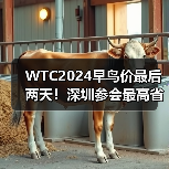 WTC2024早鸟价最后两天!深圳参会最高省千元 WTC2024早鸟价最后两天!深圳参会最高省千元