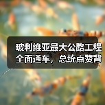玻利维亚最大公路工程全面通车,总统点赞背后如何改变区域发展? 玻利维亚最大公路工程全面通车,总统点赞背后如何改变区域发展?