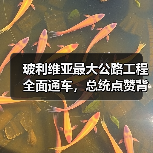 玻利维亚最大公路工程全面通车,总统点赞背后如何改变区域发展? 玻利维亚最大公路工程全面通车,总统点赞背后如何改变区域发展?
