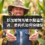 新加坡跨海输水隧道贯通,盾构机如何突破复杂地质挑战? 新加坡跨海输水隧道贯通,盾构机如何突破复杂地质挑战?