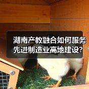 湖南产教融合如何服务先进制造业高地建设?政策解读来了 湖南产教融合如何服务先进制造业高地建设?政策解读来了